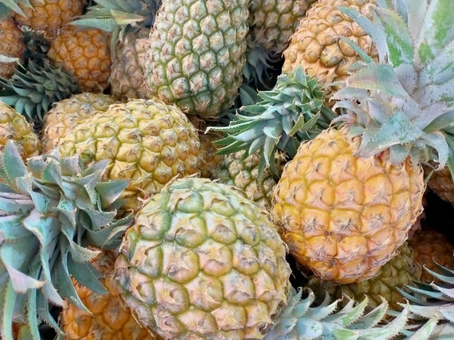 パイナップルの特徴・保存方法等 – にこやか産直アーケード