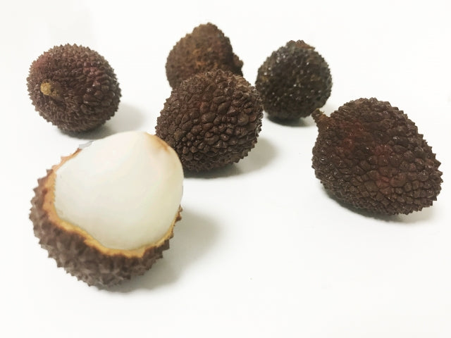 3584774_s.jpg?v=1652806230