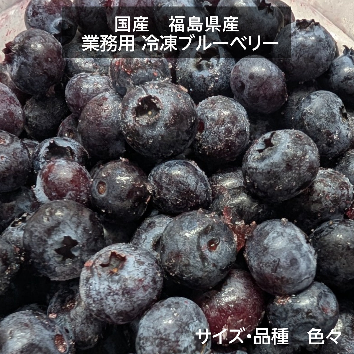 国産 冷凍ブルーベリー 加工用 業務用 農薬不使用 800g 福島県 冷凍