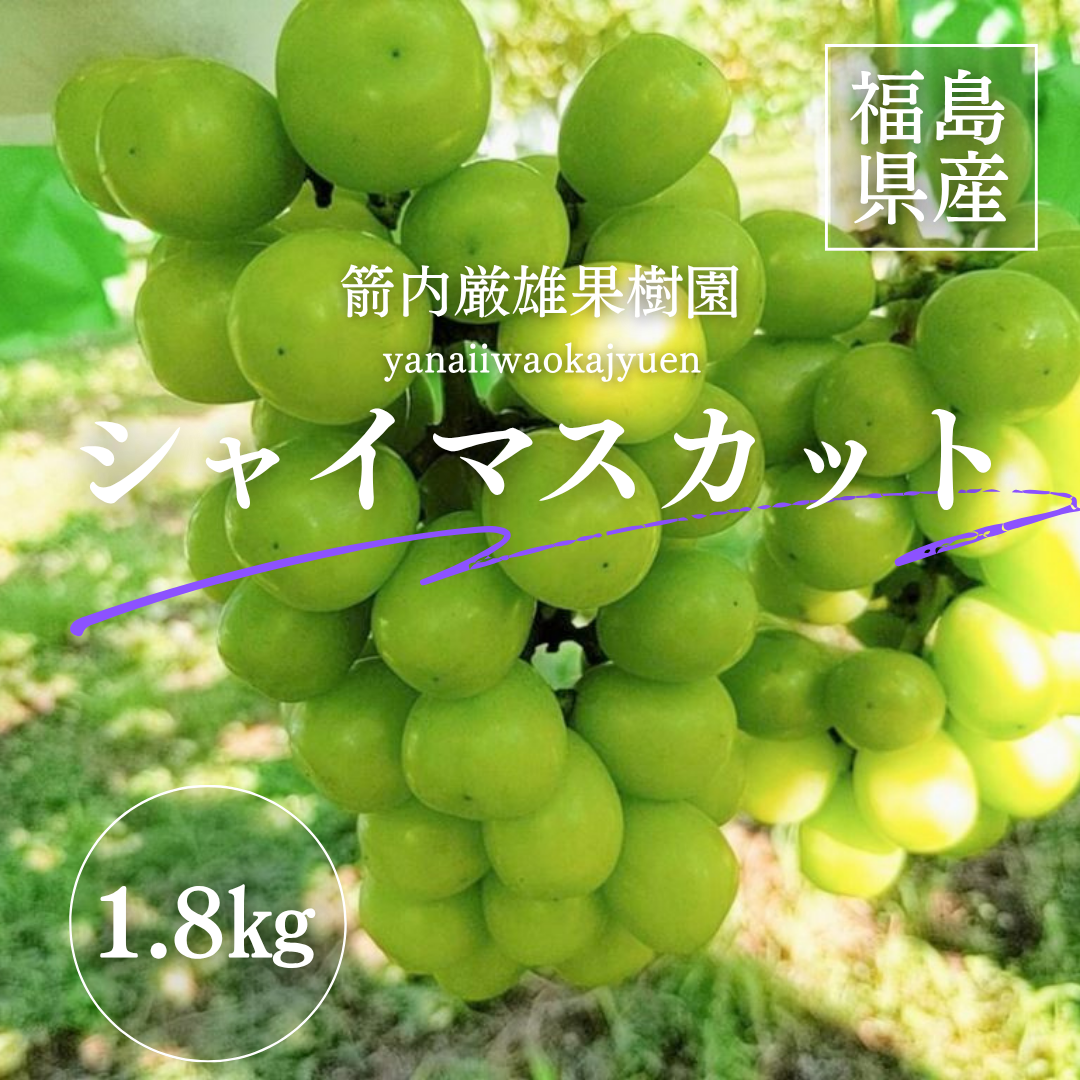 ぶどう 【箭内厳雄果樹園】 シャインマスカット 約1.8kg 2～3房 福島