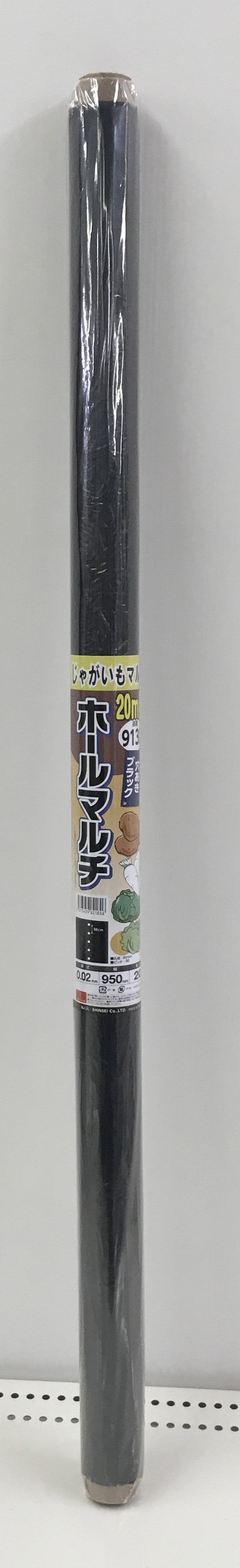 210.jpg