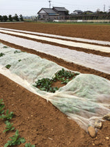 農用不織布 らくらくガード スーパー 210×200