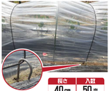 トンネルバンド押さえ 金杭 50P 35cm