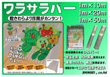 わらサラバー 1m-50m