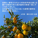 みかん 【昇果園】 S~M 5kg 約50～65個 家庭用 静岡県 浜松市 蜜柑 ミカン 《10/下旬より出荷開始》