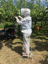 アルミステップ AP-30 30㎝