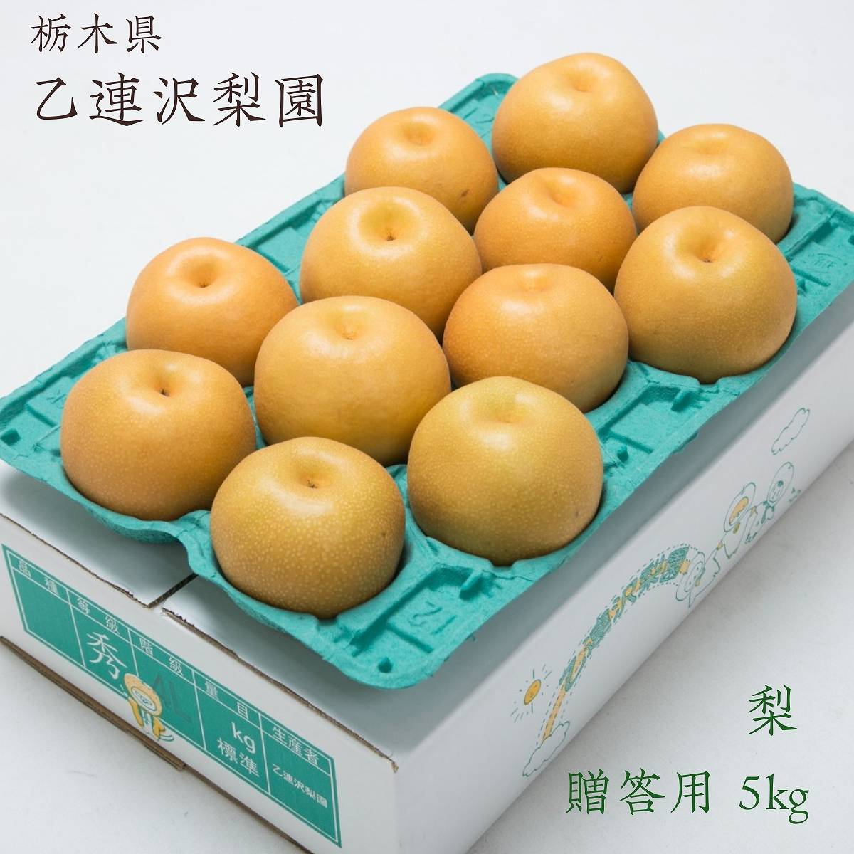 花梨ページ まとめ売り 梨 【 乙連沢梨園 】 5kg 10～14個 贈答用 プレゼント 栃木県 《9/上旬