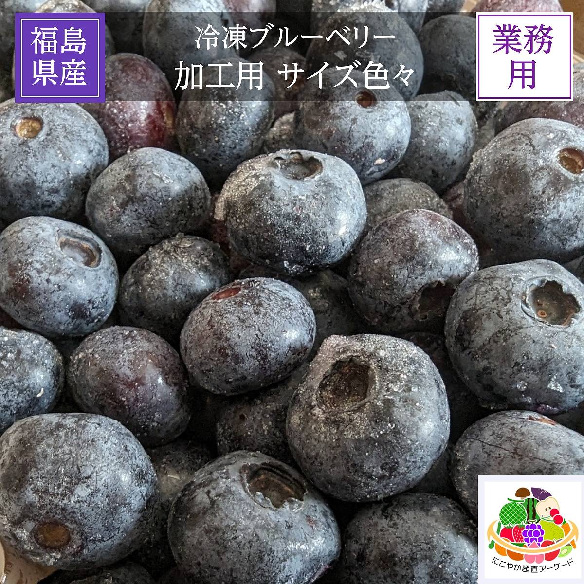 冷凍ブルーベリー 　　　　　　　　　　　【加工用】6kg s-_1_ce9be3c2-1c02-447f-8a76-