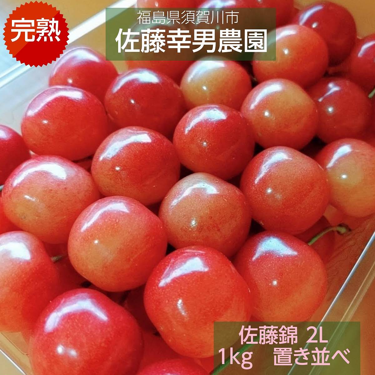 カウベル　佐藤錦２Ｌ玉一箱　6/24最短指定　大阪 さくらんぼ 【佐藤幸男農園】 佐藤錦 2L 1kg 置き並べ 贈答用