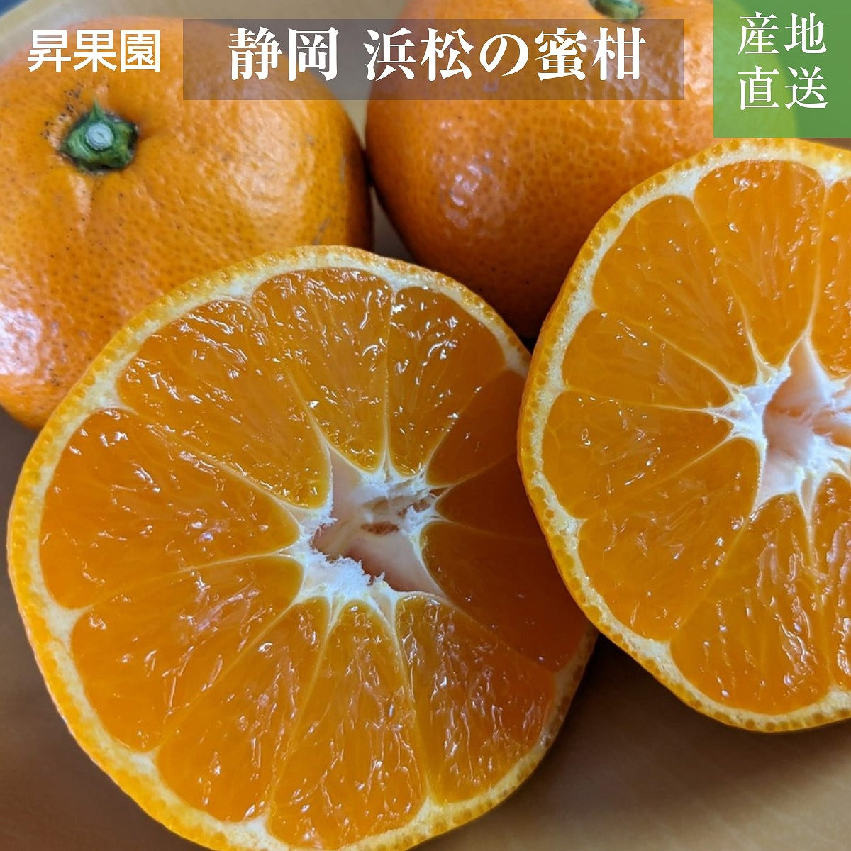 みかん 【昇果園】 S~M 5kg 約50～65個 家庭用 静岡県 浜松市 蜜柑