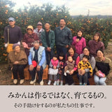 みかん 【昇果園】 S~M 5kg 約50～65個 家庭用 静岡県 浜松市 蜜柑 ミカン 《10/下旬より出荷開始》