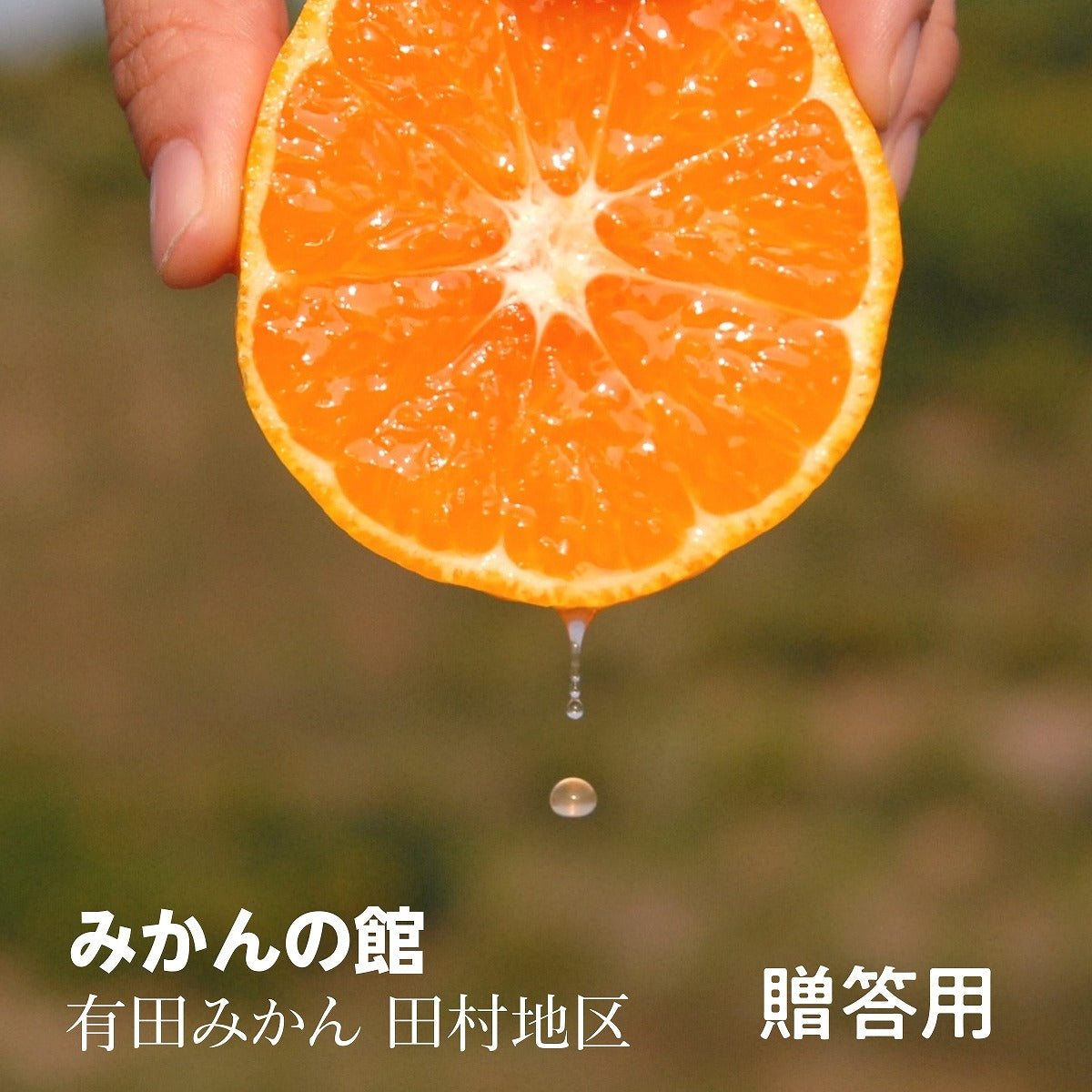 s_65dd9e96-8f1d-49b3-8404-