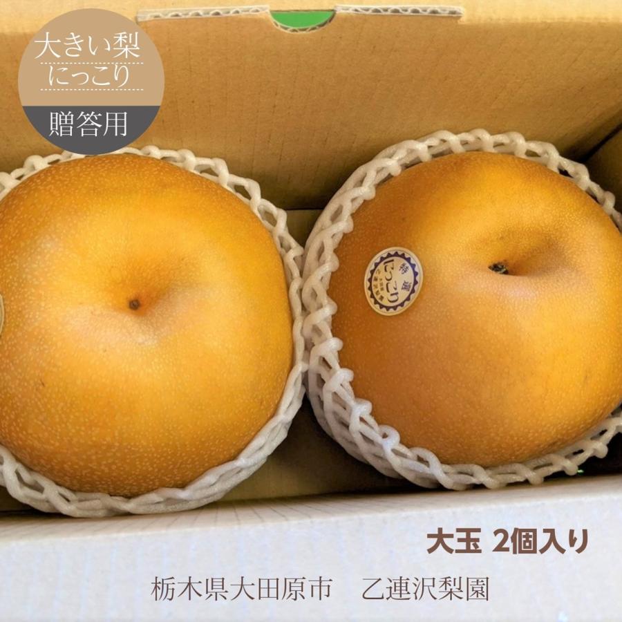 梨 【 乙連沢梨園 】大きい にっこり 1.8kg (900g×2個) 贈答用