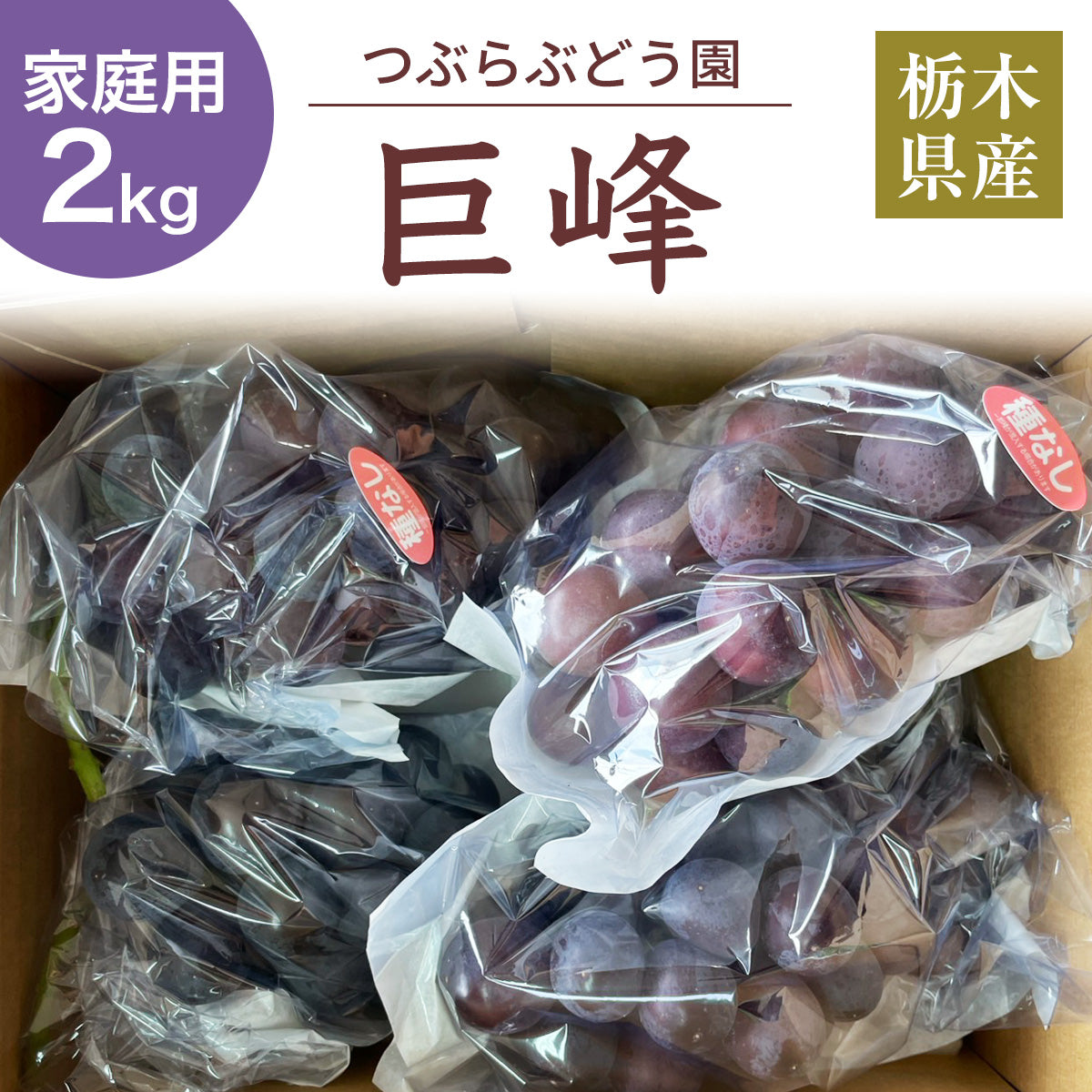 ぶどう 【つぶらぶどう園】 家庭用 巨峰 種無し 2kg 栃木県栃木市