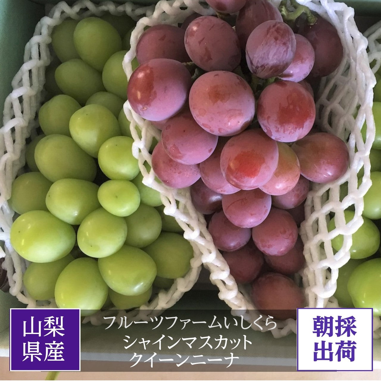 岡山県産クイーンニーナ 2房 - 果物