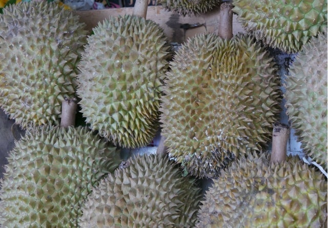 ドリアン