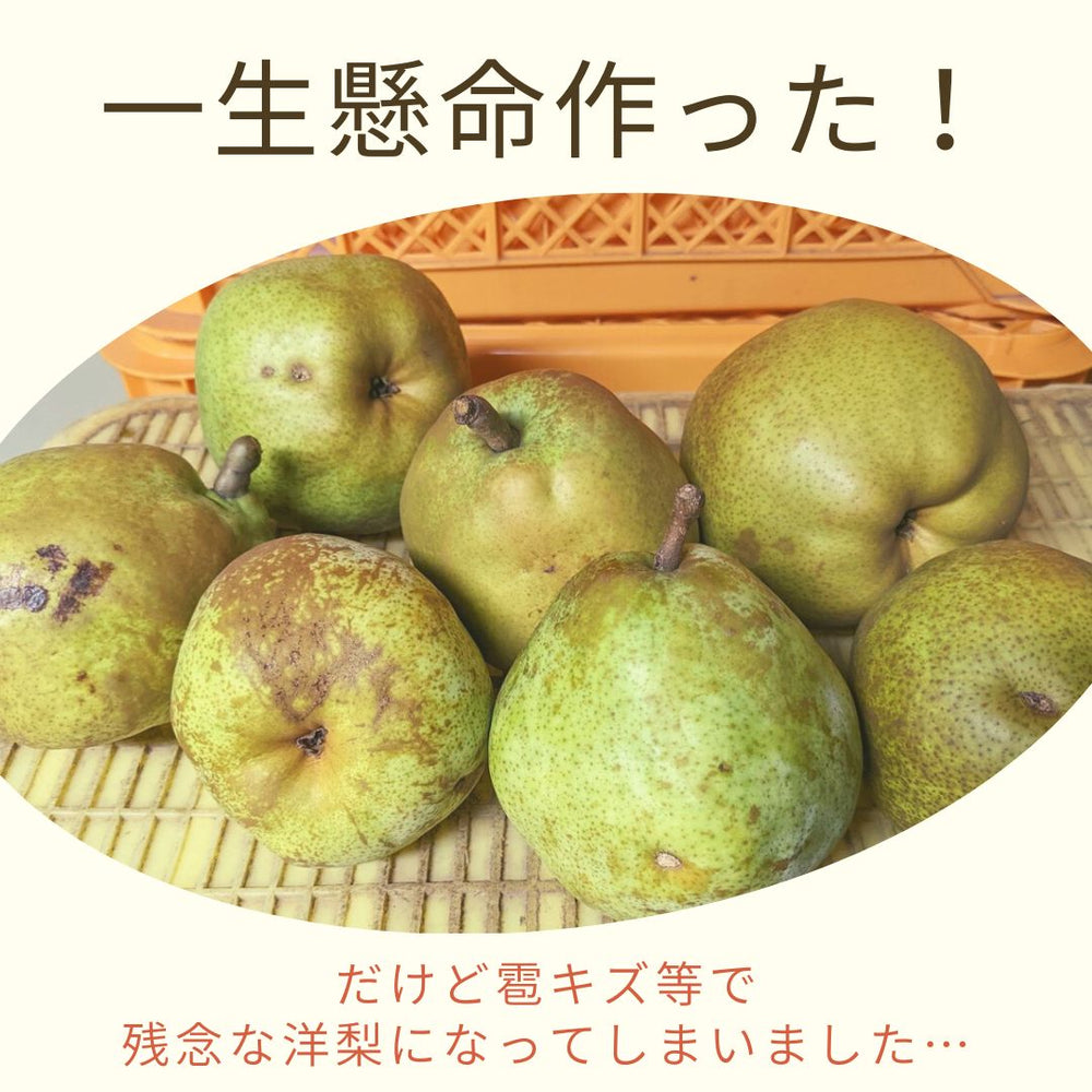 03c8b3c72775f2ec7726a418742f83