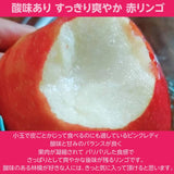 りんご 【志藤農園】 小玉りんご ピンクレディ 特秀 2kg 8～11玉 山形県  リンゴ 林檎