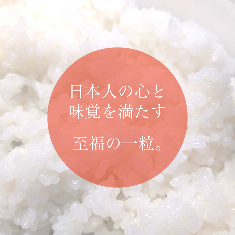 米 【ダイトーアグリ】 ひとめぼれ コシヒカリ 虹の煌めき 品種お任せ 玄米 30kg 食味分析78点以上 福島県須賀川市 令和7年産 《2025年10/上旬～10/中旬より出荷》