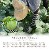 メロン 【メロン農家の根崎】 イバラキング 2玉 3.2kg 贈答用 2024年 イバラキング品評会1位 茨城県鉾田市 《6/上旬～6/中旬より出荷》