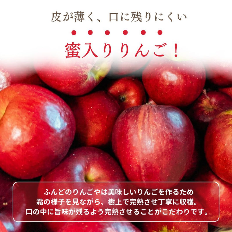 りんご 【ふんどのりんごや】 オリジナル品種 いわせっ娘 5kg 16～18個 福島県須賀川 《12/上旬～12/下旬の出荷》