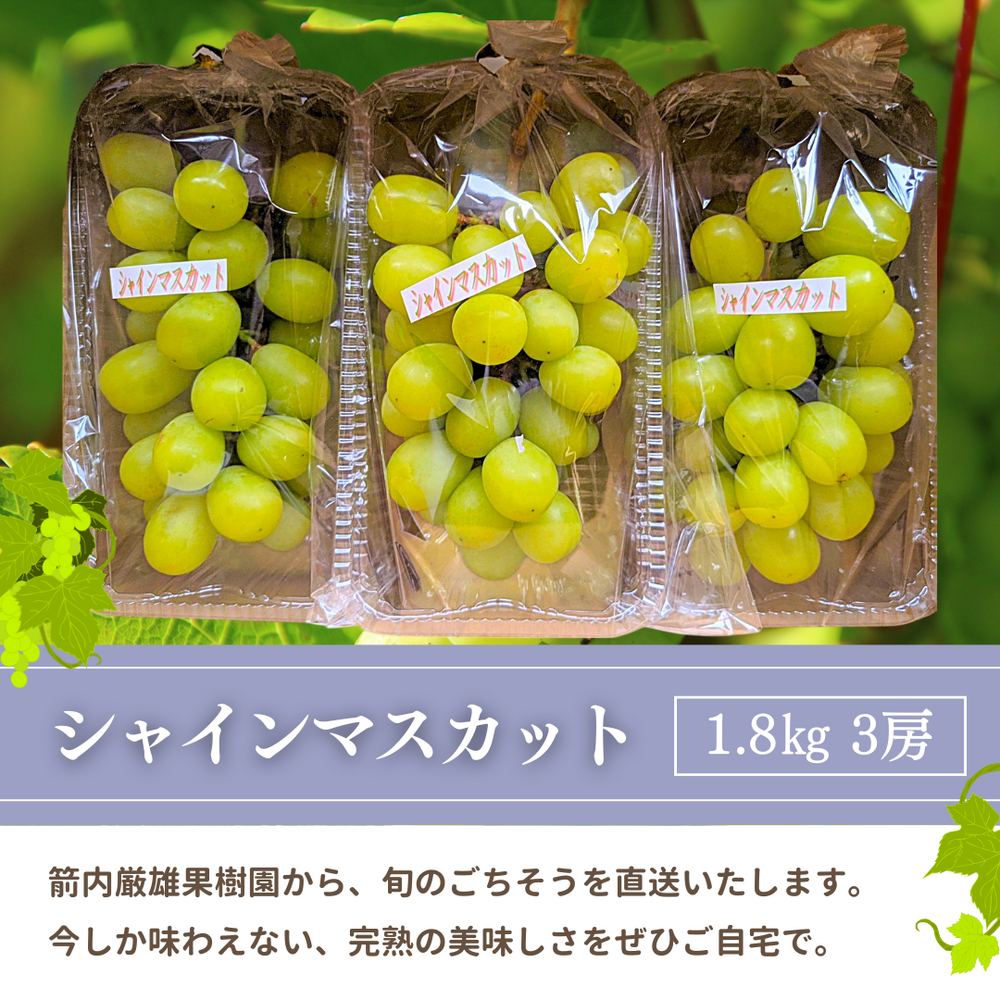 家庭用 高級 シャインマスカット 約4.8kg 6-8房 ぶどう 家庭用】2.4kg(6・7房) シャインマスカット / SHINE MUSCAT | shu