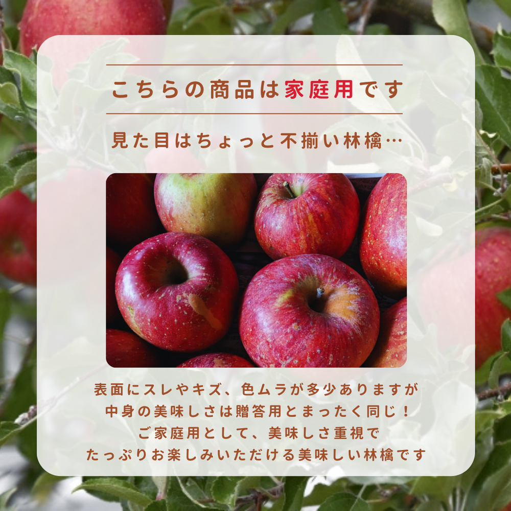 りんご 【箭内厳雄果樹園】 リンゴ 家庭用 10kg 福島県須賀川市《11
