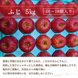 りんご 【ふんどのりんごや】 ふじ  蜜無し 長期保存用 5kg  16～18個 福島県須賀川《2/上旬～2/中旬より出荷》