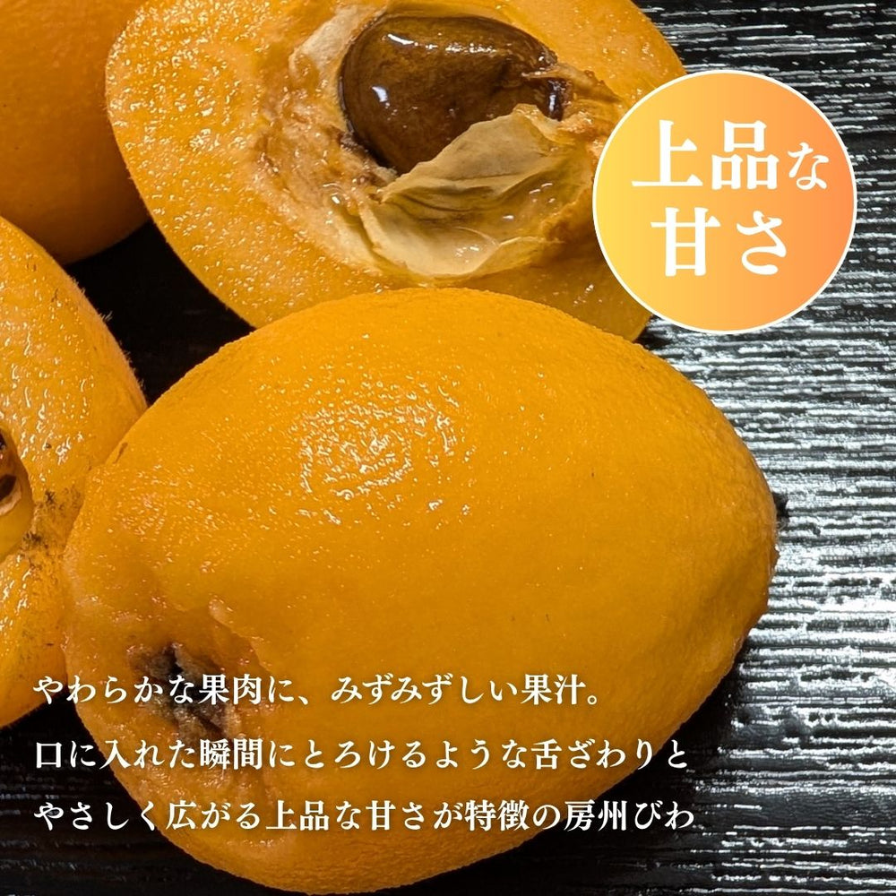 びわ 【生稲農園】 房州びわ 2kg 24～30個 サイズ色々 枇杷 皇室