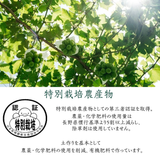 ぶどう 【境果樹園】 富士の輝き シャインマスカット 1房ずつ 約1kg 長野県須坂市 《10/上旬～10/中旬より出荷》