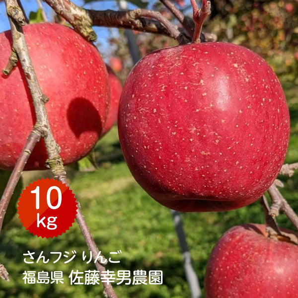 りんご 【佐藤幸男農園】 リンゴ 10kg フジ Lサイズ 26～32玉