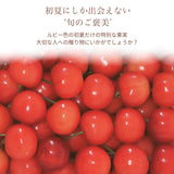 さくらんぼ 【フルーツ彩】 佐藤錦 200g×4P 800g ML 山形県上山市  《6/中旬～6/下旬の出荷》