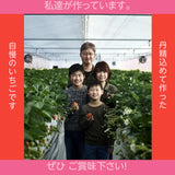 いちご 【斎藤農園】4種 食べ比べ (15～20粒 300g)×4P 福島県伊達市 《5/1～5/10より出荷》