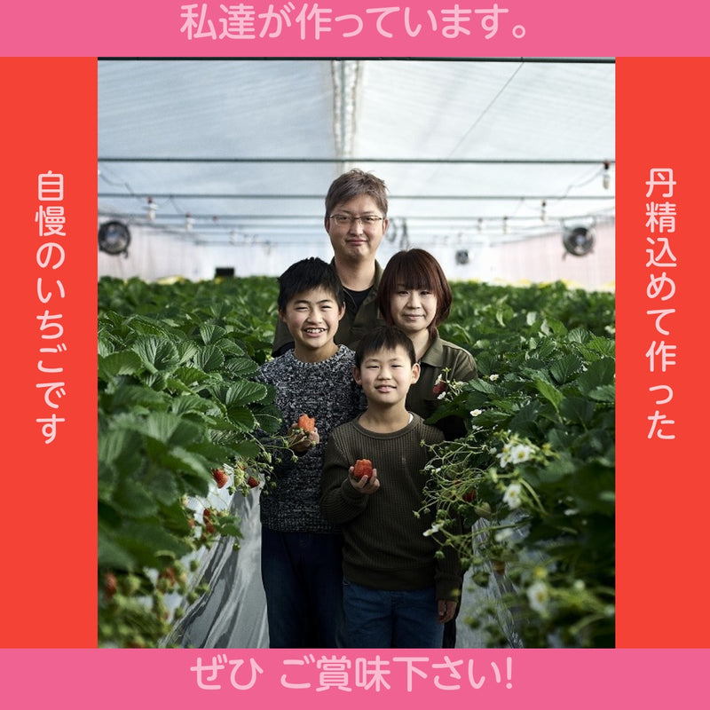 いちご 【斎藤農園】4種 食べ比べ (15～20粒 300g)×4P 福島県伊達市 《5/1～5/10より出荷》