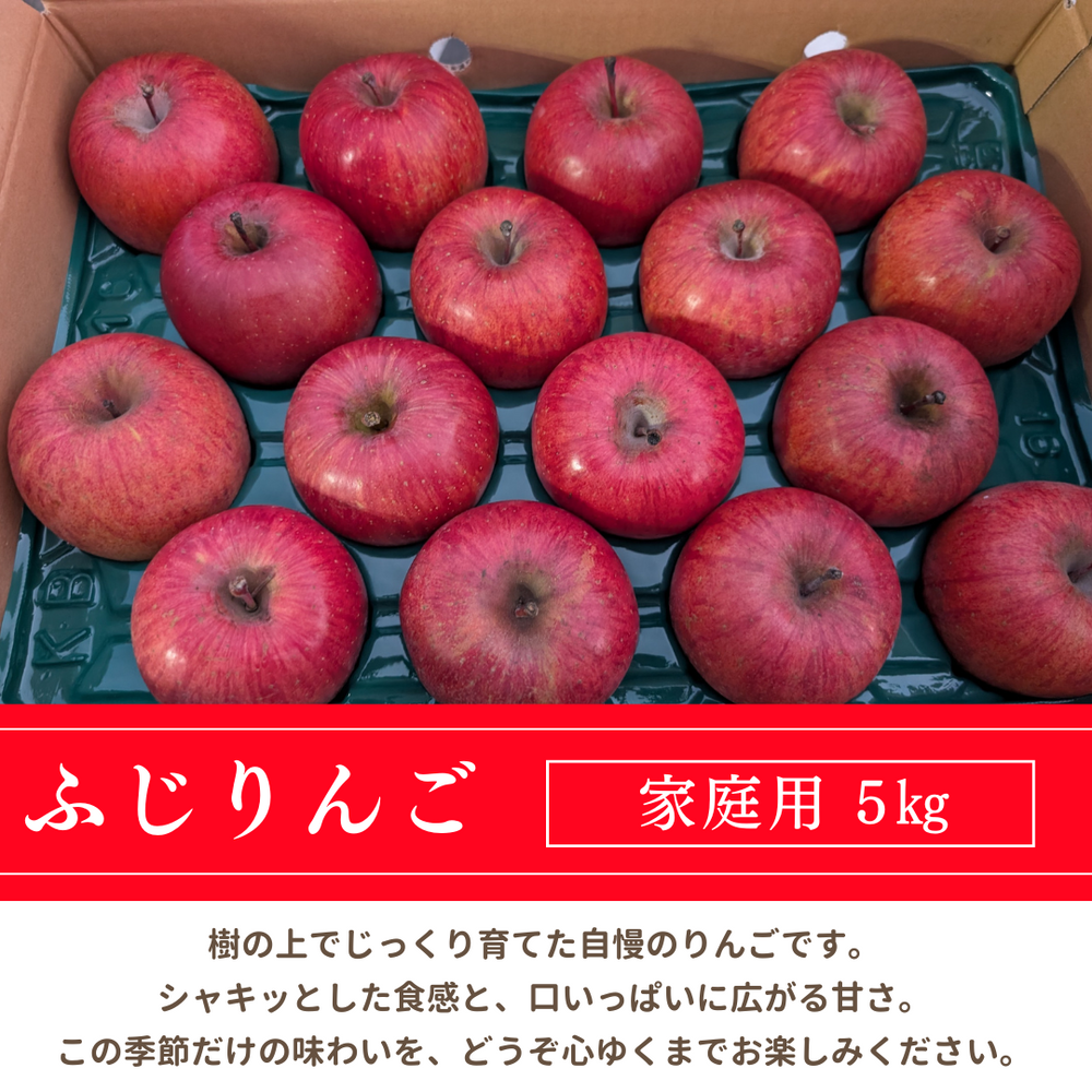 りんご 【箭内厳雄果樹園】 リンゴ 家庭用 5kg 福島県須賀川市《11