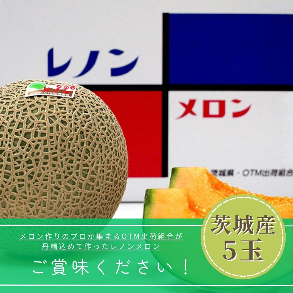 メロン 【OTM出荷組合】 レノン 2L 5玉 糖度15度以上 贈答用 父