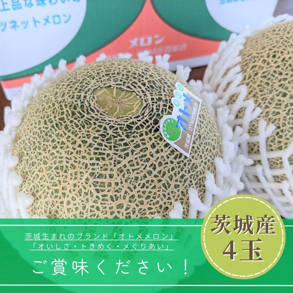 メロン 【OTM出荷組合】 メロン オトメメロン 4玉 3L 糖度15度
