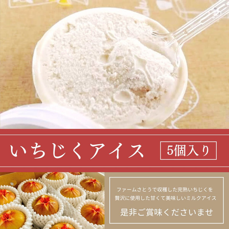 いちじく 【ファームさとう】 いちじくアイス 5個 千葉県香取市