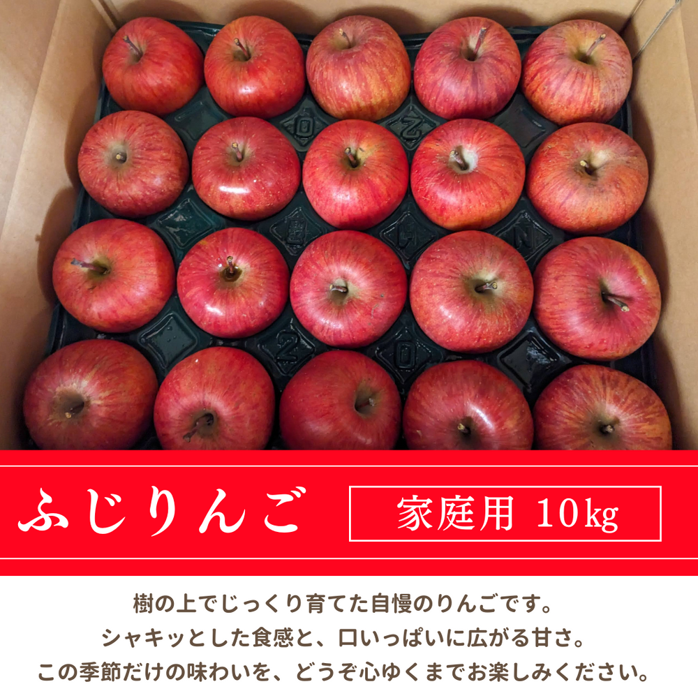 りんご 【箭内厳雄果樹園】 リンゴ 家庭用 10kg 福島県須賀川市《11