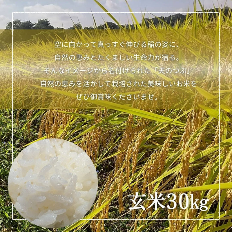 米 【おおひがし稲作研究会】 天のつぶ 玄米 30kg 白米精米可能 福島県須賀川市 令和6年産