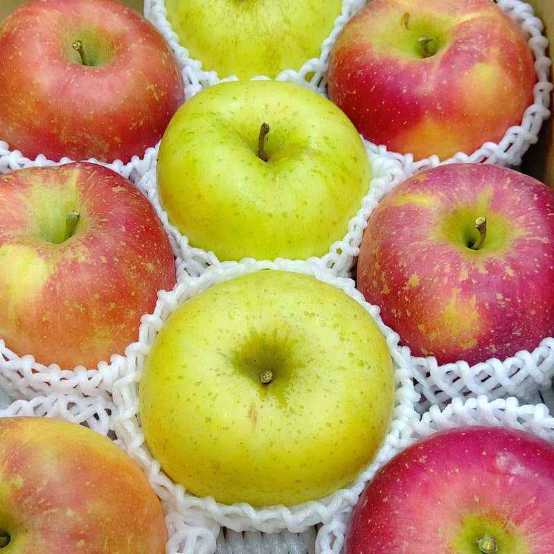 りんご 【佐藤果樹園】 4㎏ 10～13個 1～3種類 福島県 須賀川市