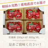 さくらんぼ 【フルーツ彩】 佐藤錦 200g×4P 800g ML 山形県上山市  《6/中旬～6/下旬の出荷》