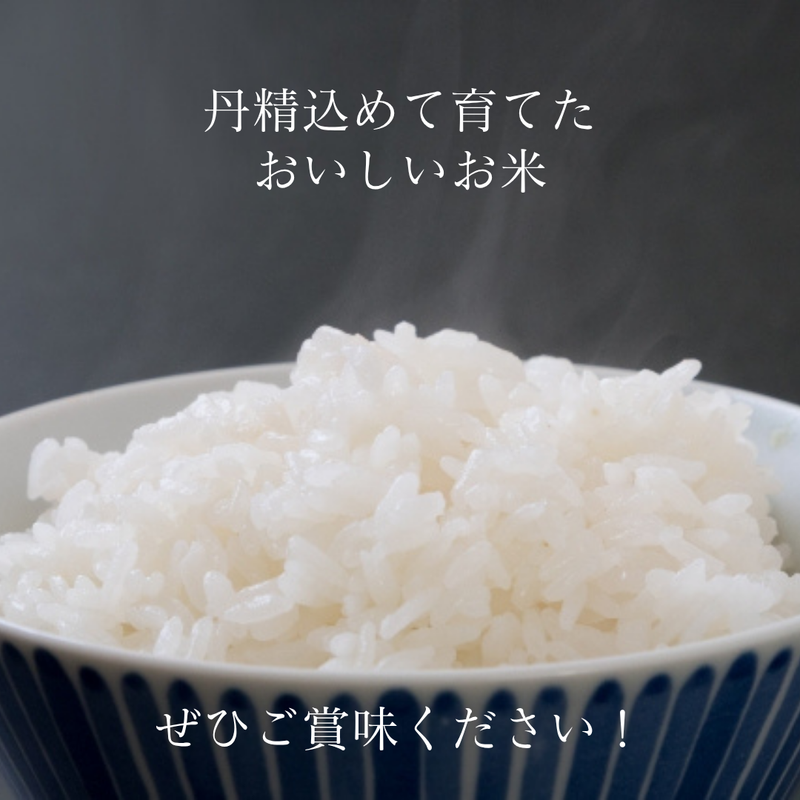 米 【ダイトーアグリ】 ひとめぼれ コシヒカリ 虹の煌めき 品種お任せ 玄米 30kg 食味分析78点以上 福島県須賀川市 令和7年産 《2025年10/上旬～10/中旬より出荷》