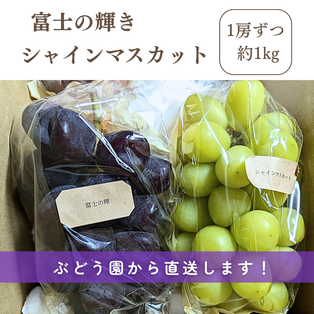 ぶどう 【境果樹園】 富士の輝き シャインマスカット 1~2房ずつ 約1kg
