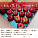 りんご 【ふんどのりんごや】 オリジナル品種 いわせっ娘 5kg 16～18個 福島県須賀川 《12/上旬～12/下旬の出荷》