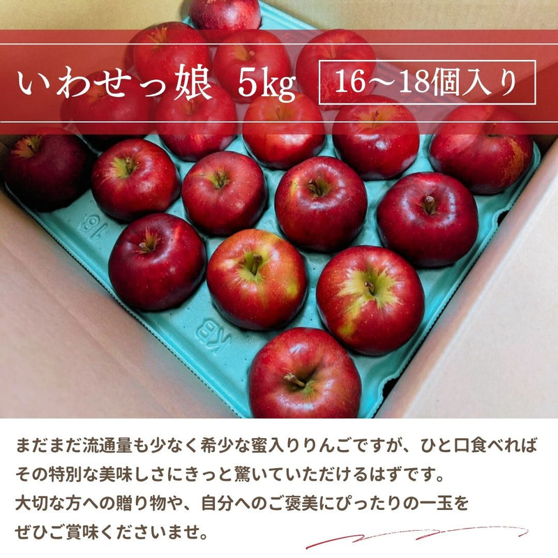 りんご 【ふんどのりんごや】 オリジナル品種 いわせっ娘 5kg 16～18個 福島県須賀川 《12/上旬～12/下旬の出荷》