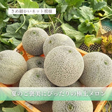 メロン 【メロン農家の根崎】 イバラキング 2玉 3.2kg 贈答用 2024年 イバラキング品評会1位 茨城県鉾田市 《6/上旬～6/中旬より出荷》