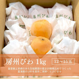 びわ 【生稲農園】 房州びわ 1kg サイズ色々 枇杷 皇室献上の実績 父の日 千葉県南房総市《5/中旬～5/下旬より出荷》