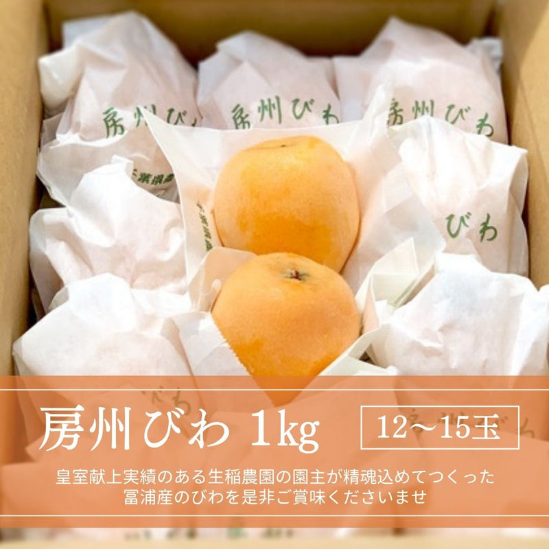 びわ 【生稲農園】 房州びわ 1kg サイズ色々 枇杷 皇室献上の実績 父の日 千葉県南房総市《5/中旬～5/下旬より出荷》