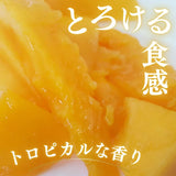 マンゴー 【緒方果樹園】 完熟マンゴー 3L 2個 900g 贈答用 宮崎県宮崎市 《5/上～5/中より出荷》